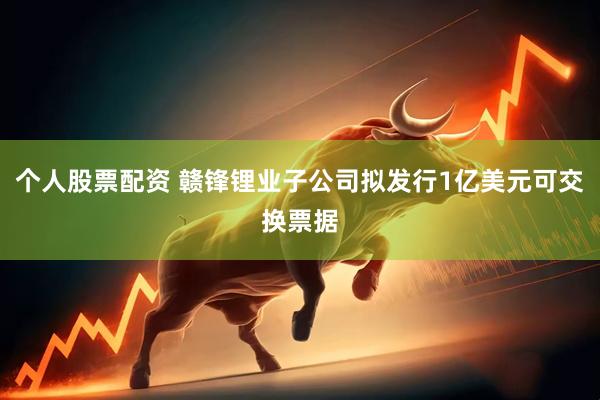 个人股票配资 赣锋锂业子公司拟发行1亿美元可交换票据
